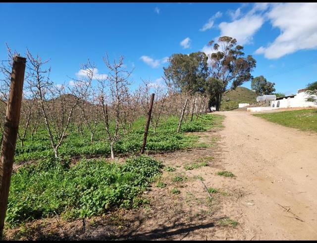 FARM FOR SALE IN MONTAGU